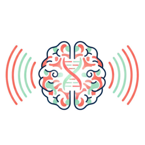 تصویر ساده شده‌ای از مغز انسان که مفهوم "پردازش شناختی آسان" و "جذابیت تکاملی" تقارن را توضیح می‌دهد.